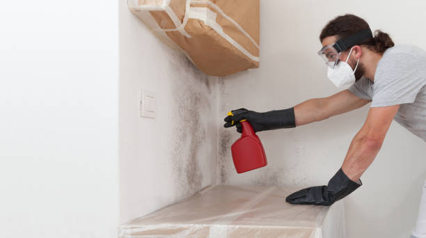 Professional Bathroom Mold Removal technician working in Anoka, MN