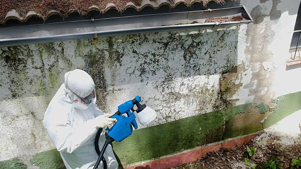 Top rated local Bathroom Mold Removal specialists in Anoka, MN